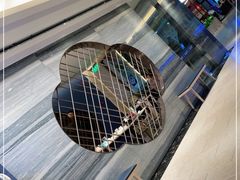 -鼎泰丰(当代商城店)