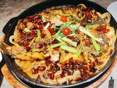 -老板恋上鱼(恒隆广场店)