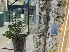 -华齿口腔·矫正种植中心(松江环城路店)