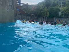 -重庆海昌加勒比海水世界
