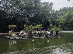 -广州长隆飞鸟乐园