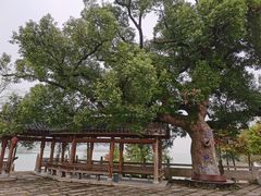 -东梓关景区村庄