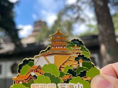 -颐和园