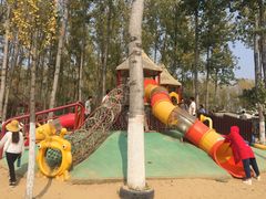 -合肥滨湖国家森林公园