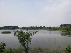 -东郊湿地公园