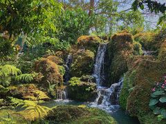 -Chom Cafe and Restaurant