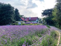 -云峰山自然风景区