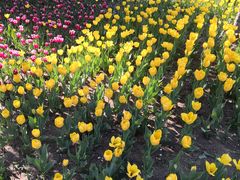 -长春公园(普阳街道)