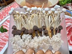 -曲氏老北京铜锅涮肉•火锅(不老街店)