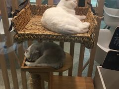 -南门头上美食街