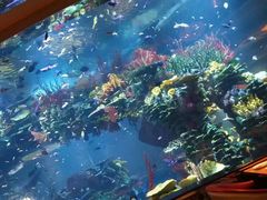 -迪拜帆船酒店海底餐厅