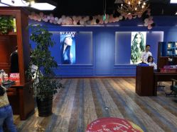 -东晨宝格丽品质造型