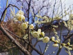 -兰州-西固陈记牛肉面·烧烤(山阴路店)