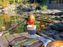 -三忘湖 SWANSEEN(柳荫公园店)