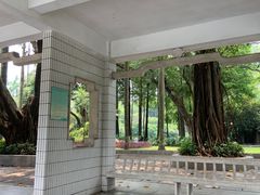 -晓港公园