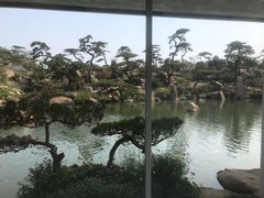 -罗红摄影艺术馆