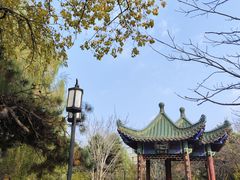 -锦绣公园