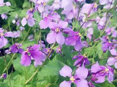 -肯德基(孝陵卫地铁站店)