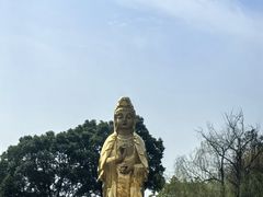 -报恩禅寺