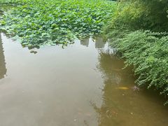 -龙头寺公园