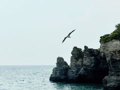 -大连金石滩滨海国家地质公园