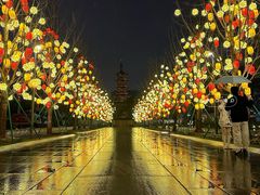 -龙华寺