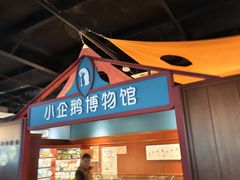 -海合安武汉极地海洋公园