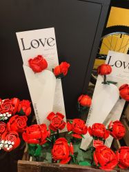 -乐高授权专卖店(济南万象城店)