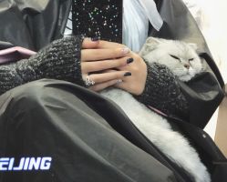 -D.z Salon 无痕接发潮店