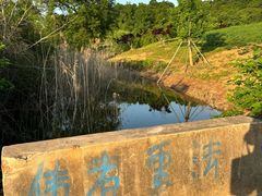 -茅山东方盐湖城景区