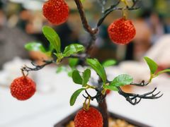 -椿记烧鹅(叠彩店)