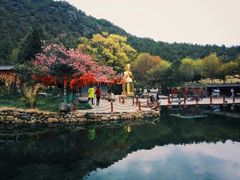 -丽江玉水寨