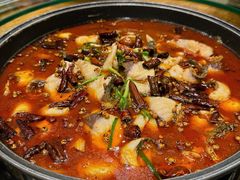 香香鱼-盛宏鑫·四川鲜鱼馆(一元路店)