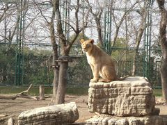 -上海野生动物园