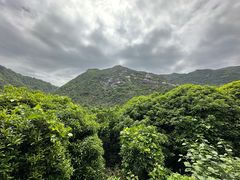 -大罗山风景区