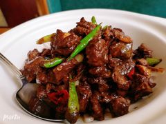 -饭怕鱼(阳光100店)