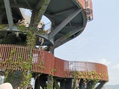 -芒洲湿地公园