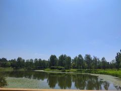 -东郊湿地公园