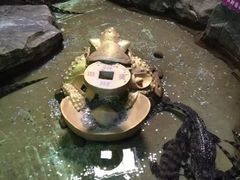 -泉城欧乐堡海洋极地世界