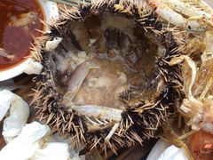 -四川人郑霞海鲜