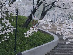 -杭州少年儿童公园