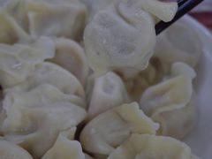 猪肉白菜饺子-哈尔滨饺子王·东北菜(鱼鳞浃路店)