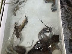 -拉威海鲜市场