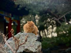 -颐和园