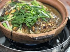 -华仔土鸡店(南洲分店)