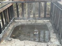 -天芳悦潭度假村温泉