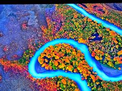 -罗红摄影艺术馆