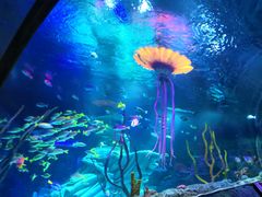 -沈阳海洋探索中心