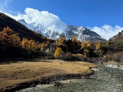 -稻城亚丁景区-冲古草甸