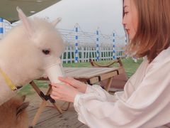 -Blue Concept Cafe&Farm·關於藍